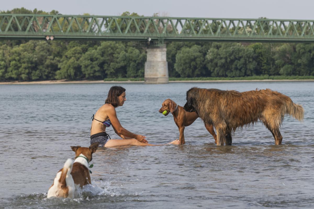 Növekszik hazánkban is a forró napok száma, gyakoribbak a szélsőségek is