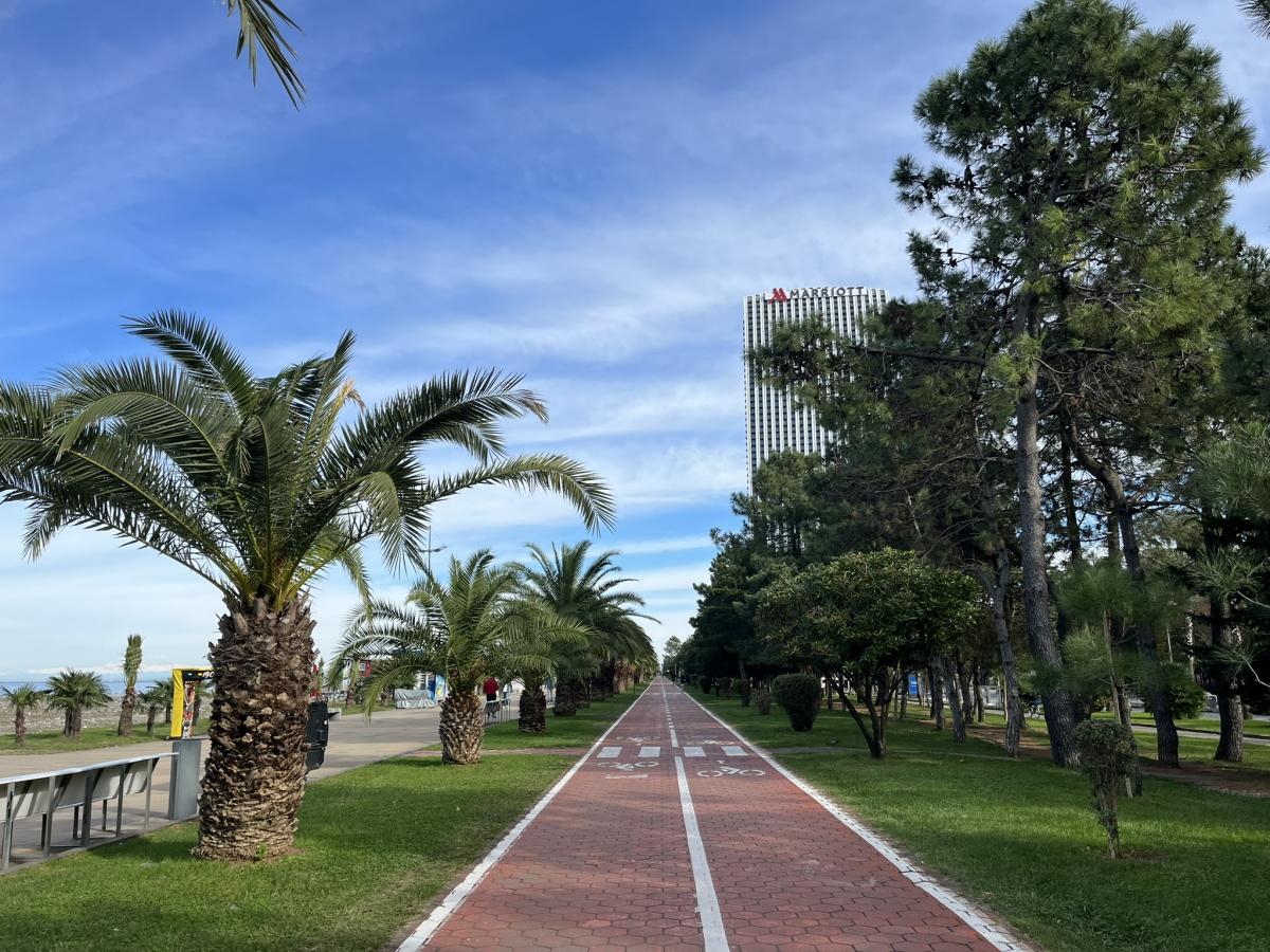 Pálmafák a batumi plázson