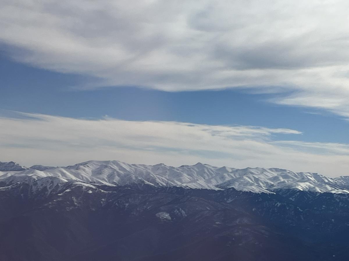 Pálmafák a batumi plázson