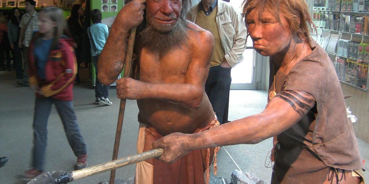 Neandervölgyi emberek rekonstrukciói