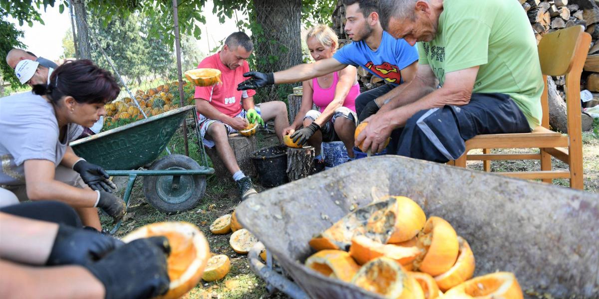 Agrármunka vár a közmunkásokra