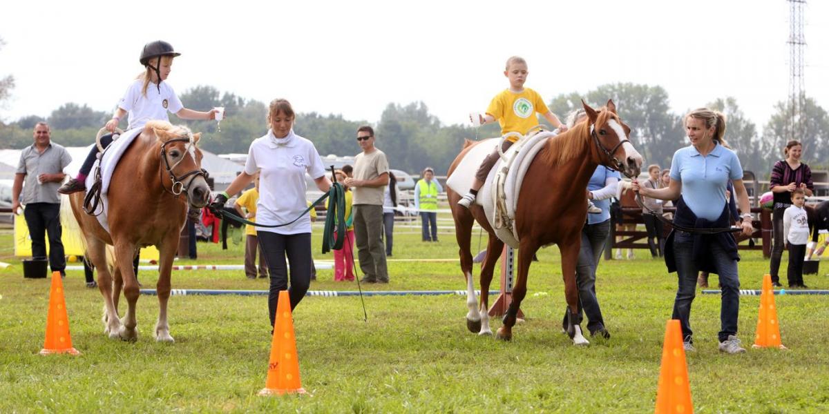 Összesen 167 fogyatékkal élő gyermek vett részt a lovas terápiás rendezvényen