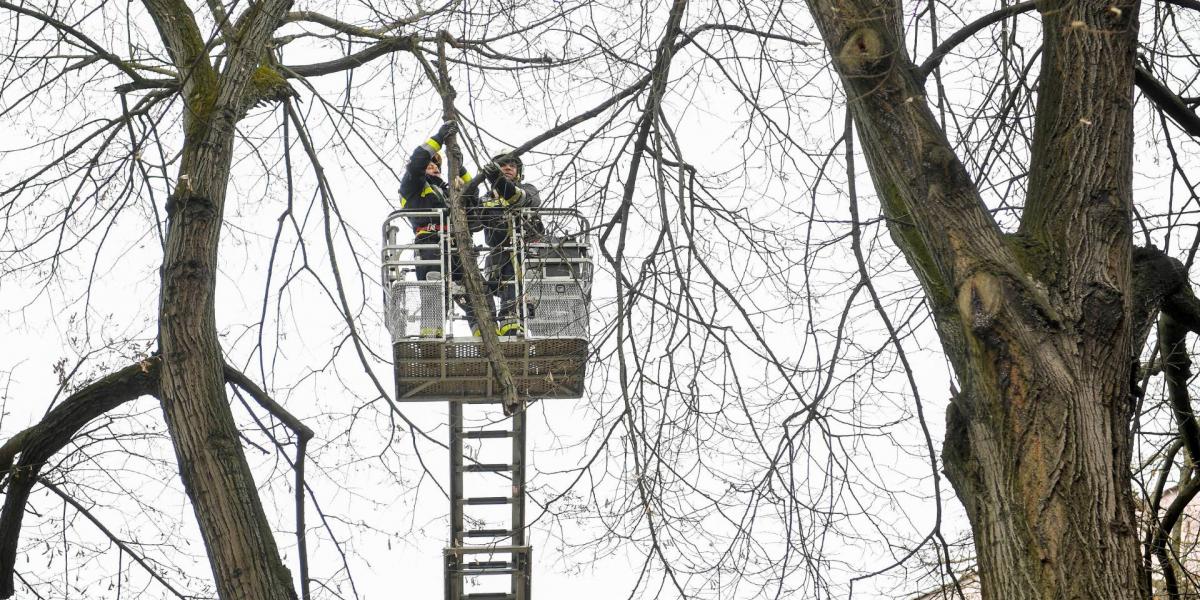 A viharos szél miatt leszakadt faágakat távolítanak el tűzoltók egy emelőkosaras járművel Debrecenben, a Kassai úton