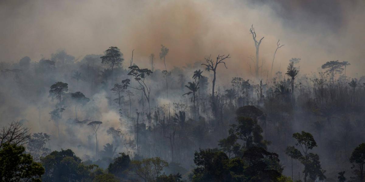 Füstfelhők az Amazonas-medence őserdeje felett. A brazil elnök Jair Bolsonaro az erdőirtó földműveseket támogatja a környezetvédők helyett