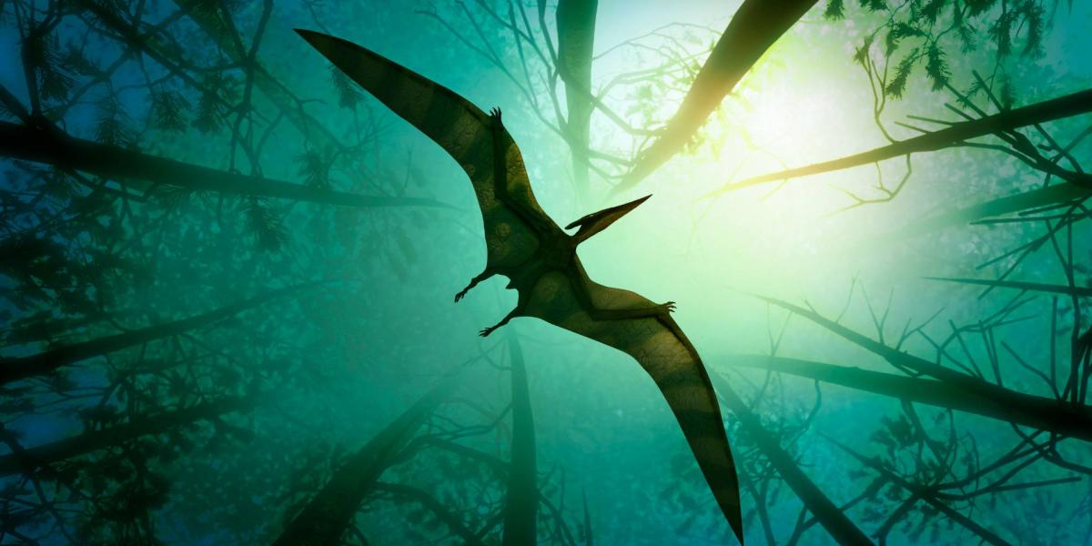 Pteranodon