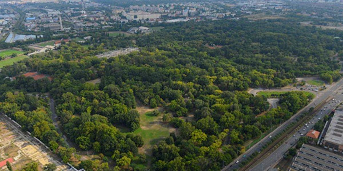 A Népliget jelentős hányadát értékes növénygyűjtemény borítja FORRÁS: LEGIFOTO.HU