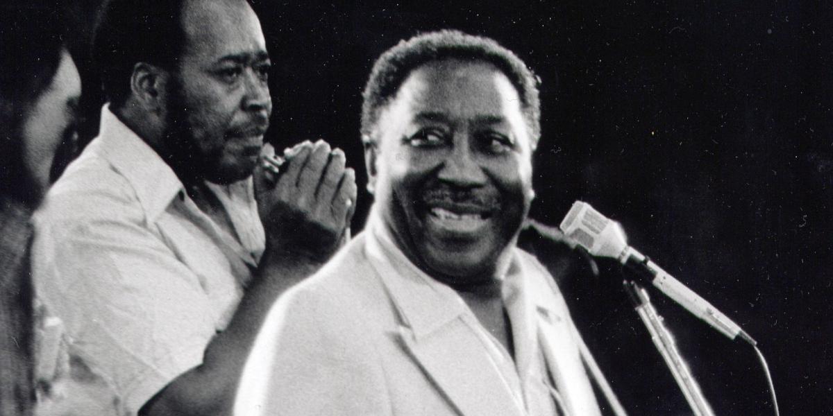 Muddy Waters