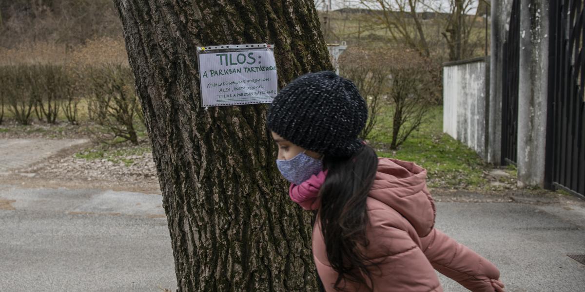 Képünk illusztráció. Piliscsabán egyetem már nincs, háború még van