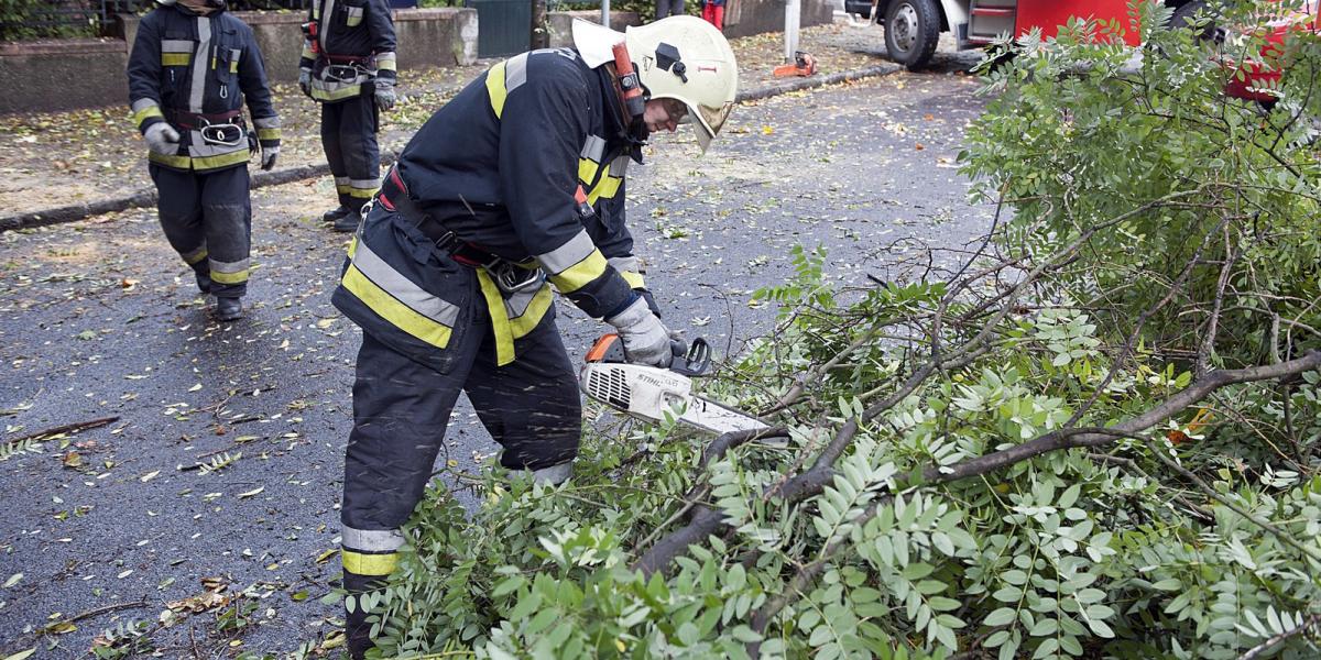 Tűzoltók távolítanak el egy kidőlt fát a II. kerületi Gábor Áron utcában/MTI Fotó: Lakatos Péter