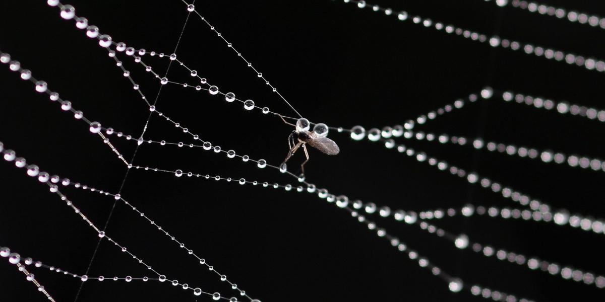 FOTÓ: Getty Images, Dan Kitwood