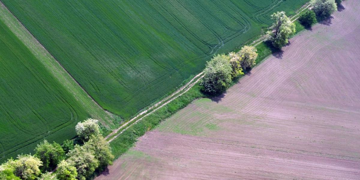 Fennáll a veszélye, hogy a termőföldet is megadóztatják az önkormányzatok FOTÓ: NÉPSZAVA