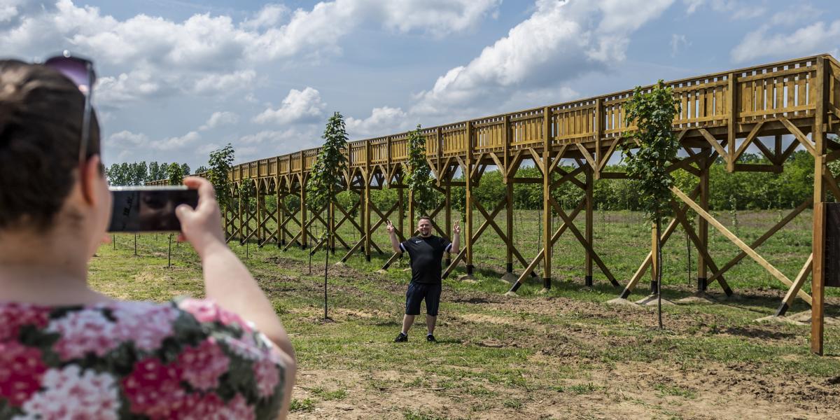 A híres-­hírhedt faépítmény. Elfedi a botrány a község megannyi súlyos baját