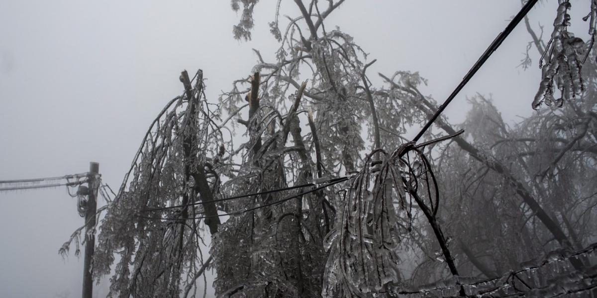 Az ónos esőben a megvastagodott jég súlyától leszakadt elektromos vezeték Budapesten, a Konkoly-Thege Miklós úton 2014. december