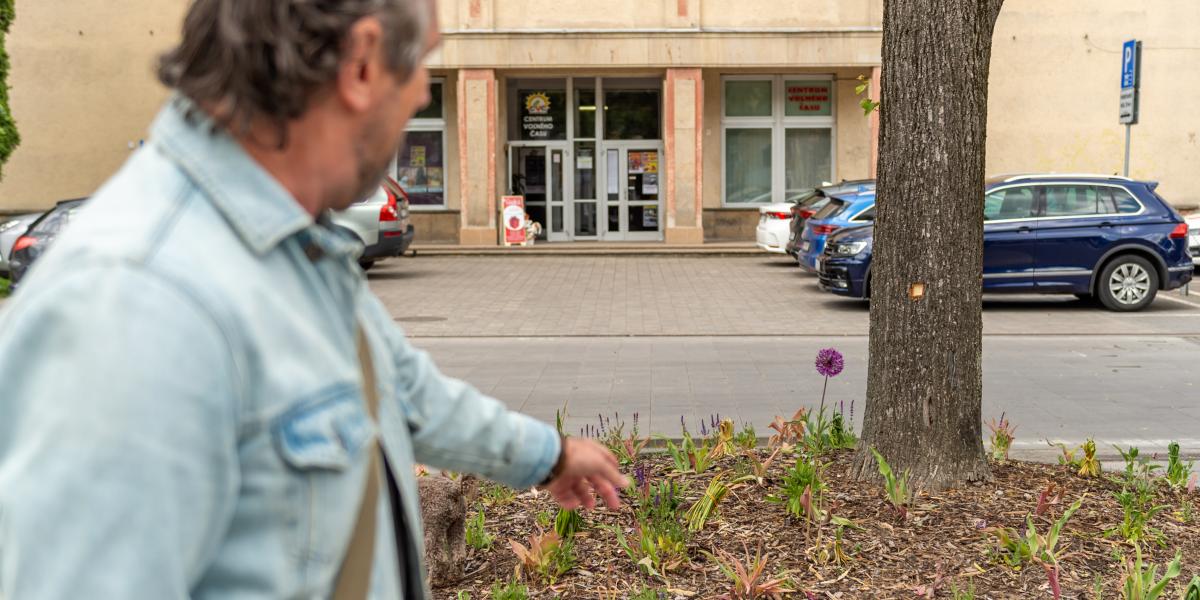 Vladislav Stranovski mutatja a fatörzsében a golyónyomokat