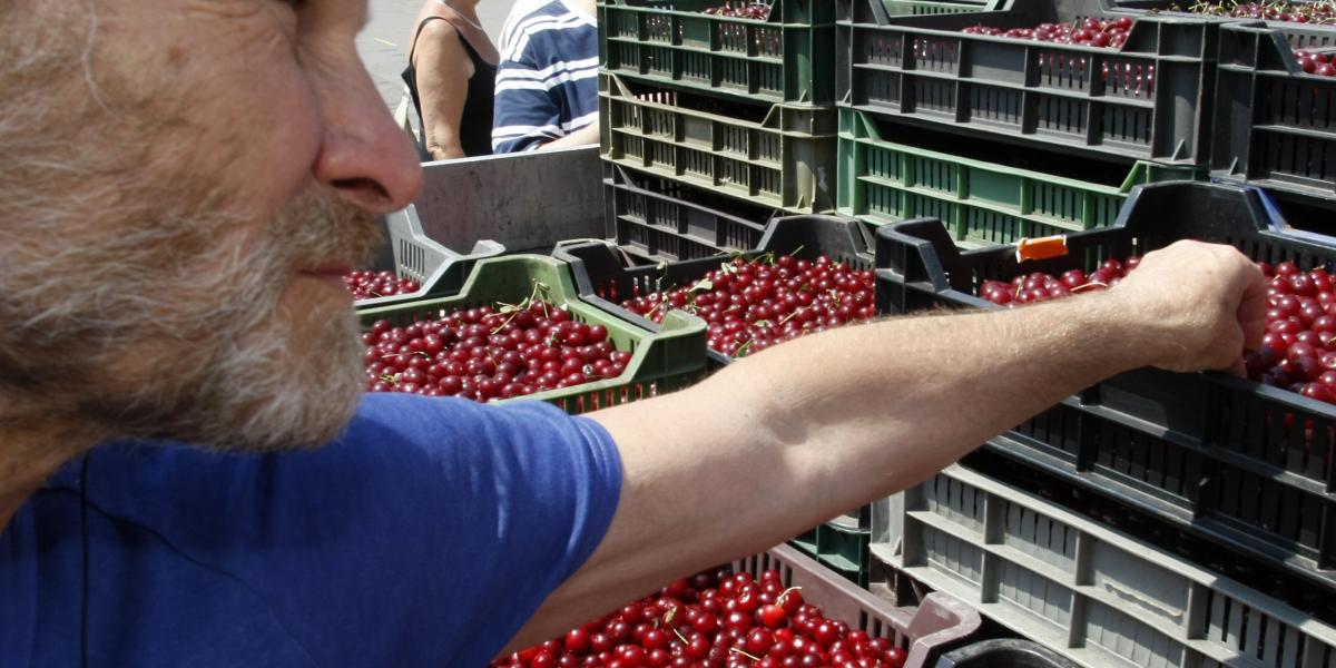 A virágzás bőséges volt, termés viszont kevés lesz belőle