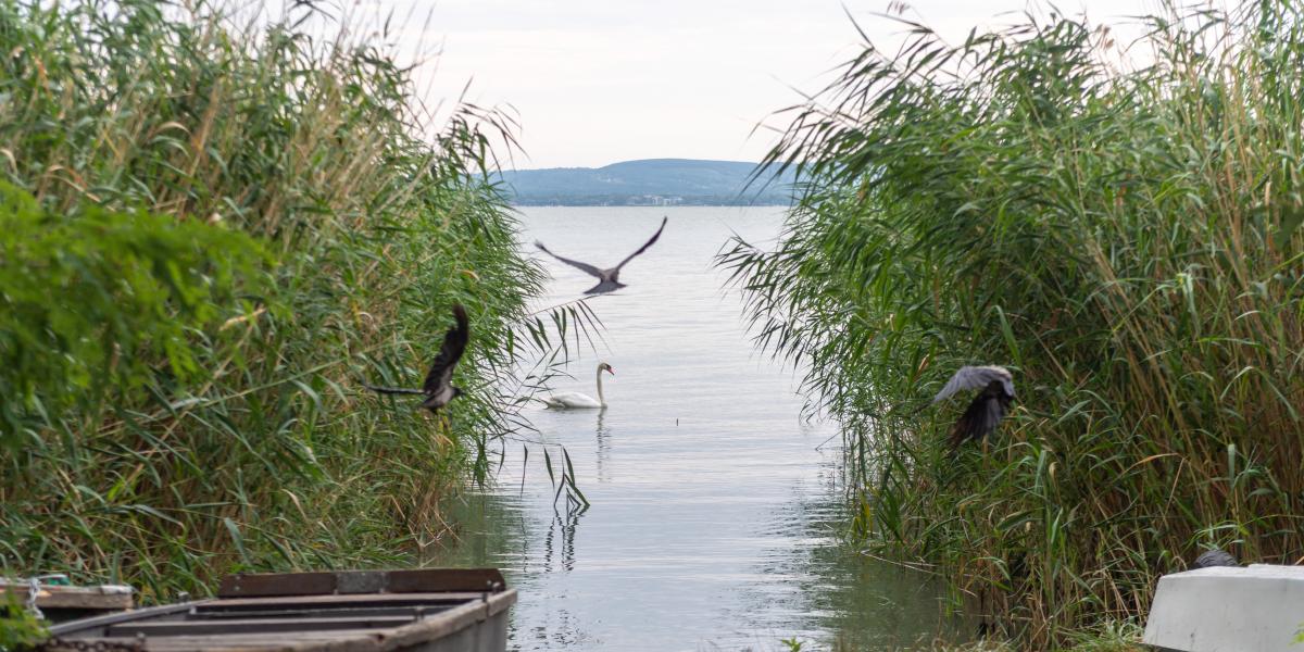 Jogi viták után visszatér a Balaton az önkormányzathoz