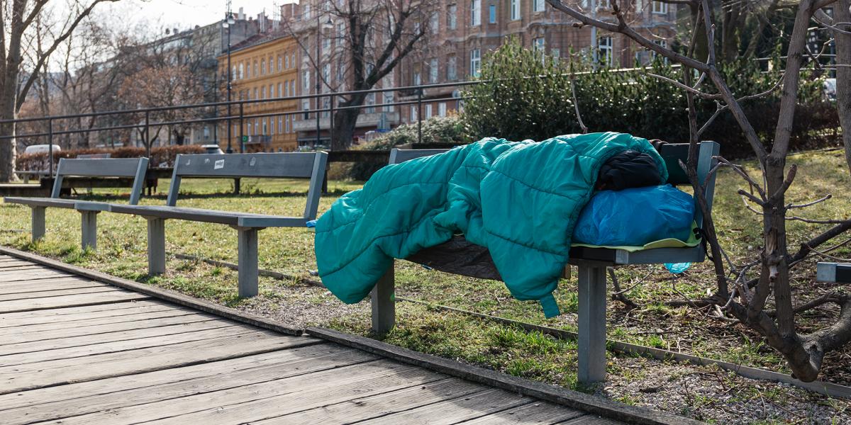 A tavalyi adatfelvételen 1530 közterületen lakó hajléktalan adott értékelhető válaszokat