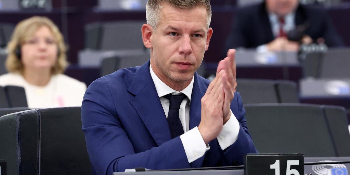 Magyar Péter az Európai Parlamentben - Korábbi felvétel 