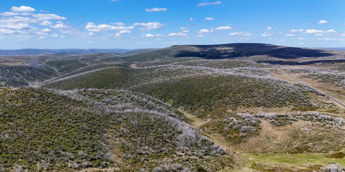 A Kosciuszko nemzeti park - Korábbi felvétel 