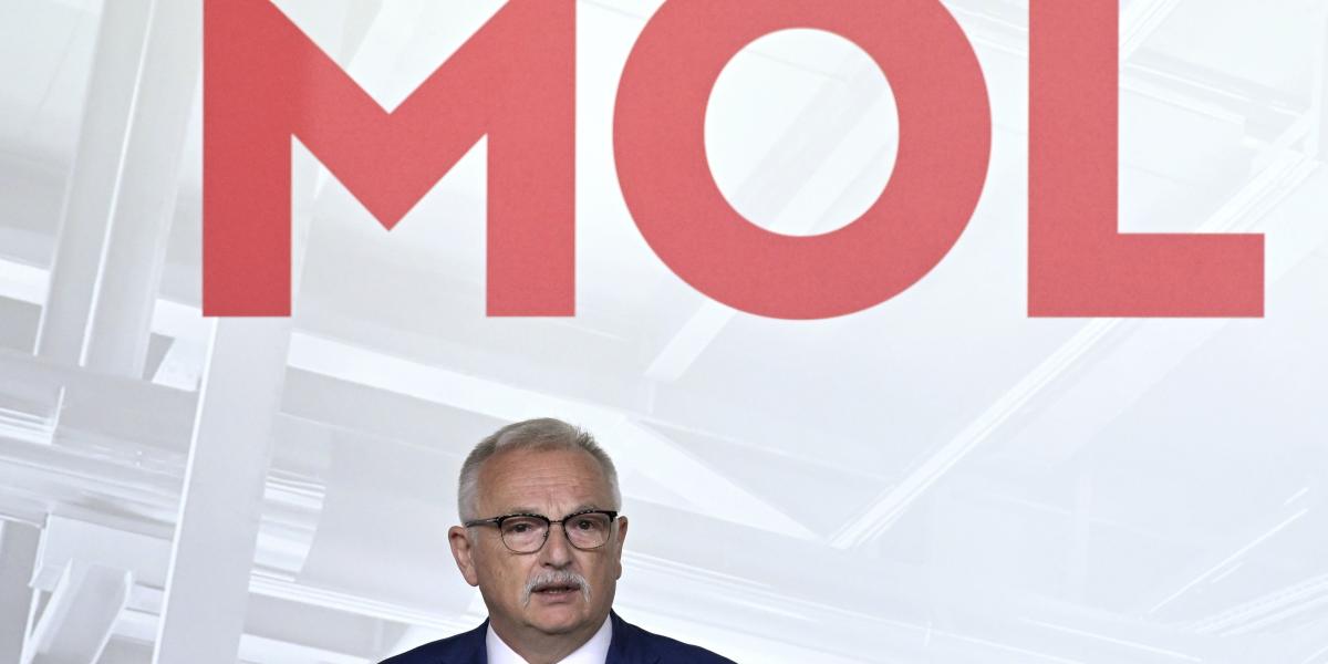  Hernádi Zsolt szerint az osztalék­eső oka: így látták jónak