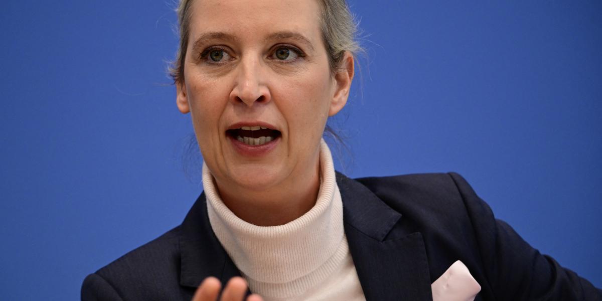 Alice Weidel, az AfD társelnöke