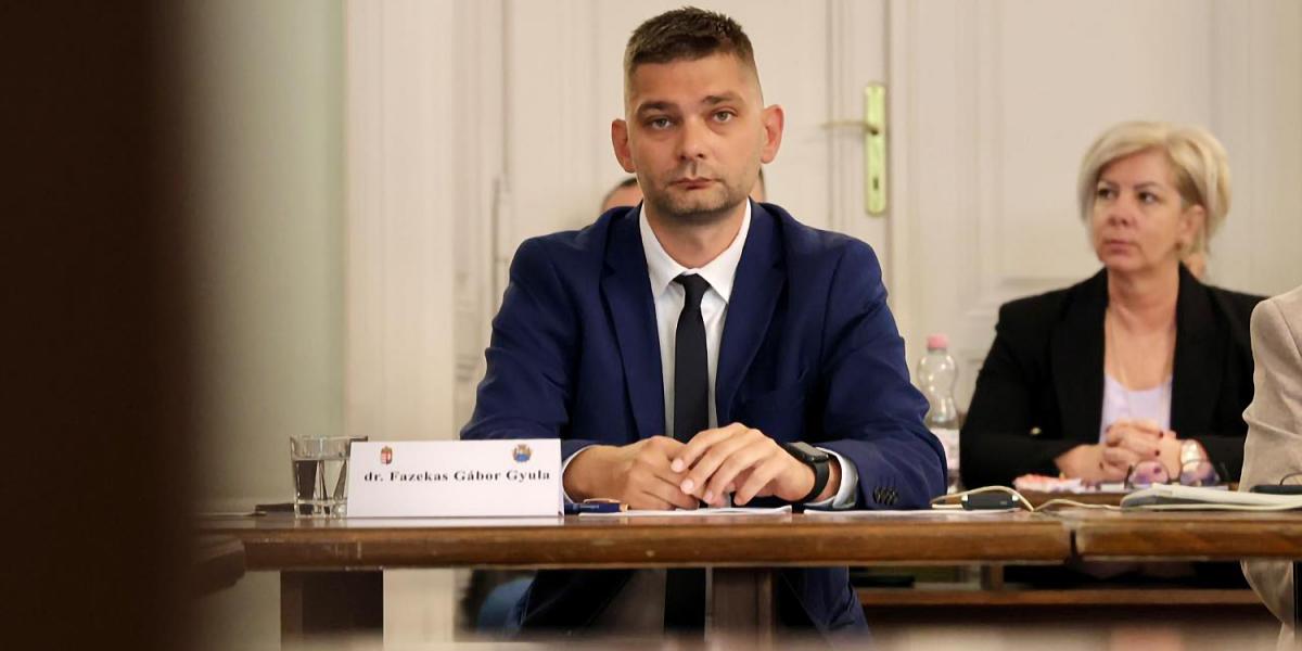 Sokakat meglepett Fazekas Gábor Gyula megválasztása
