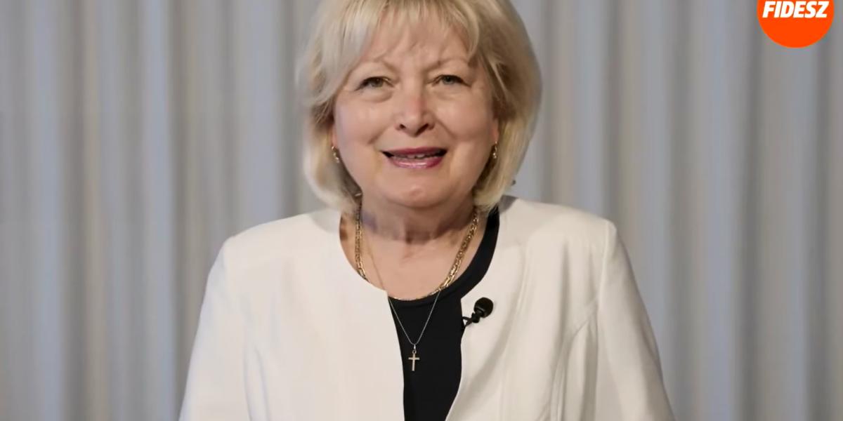 Rák Sándorné Mária egri fideszes önkormányzati képviselő - képernyőfotó