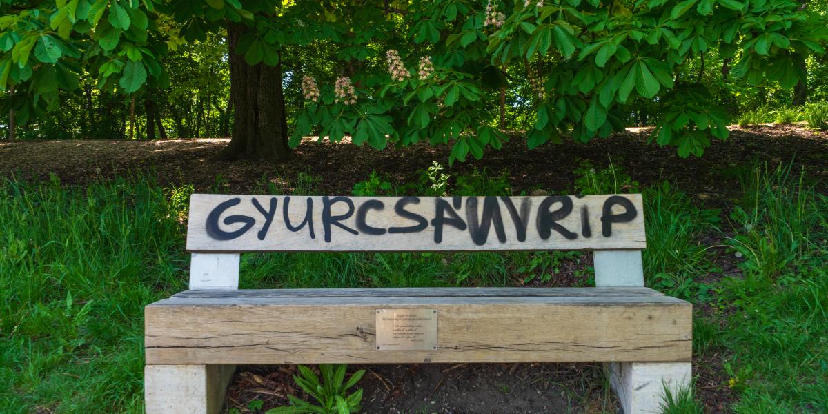 Firka a Normafa egyik padján.