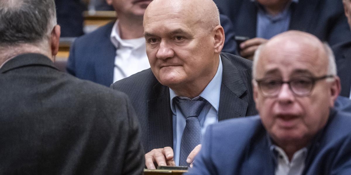 Hende Csaba az Országgyűlés plenáris ülésén 2025. május 19-én