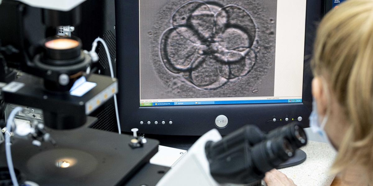 Tíz év után, két inszeminációval, 8 lombikkal és 5 intézettel a hátuk mögött végül feladták
