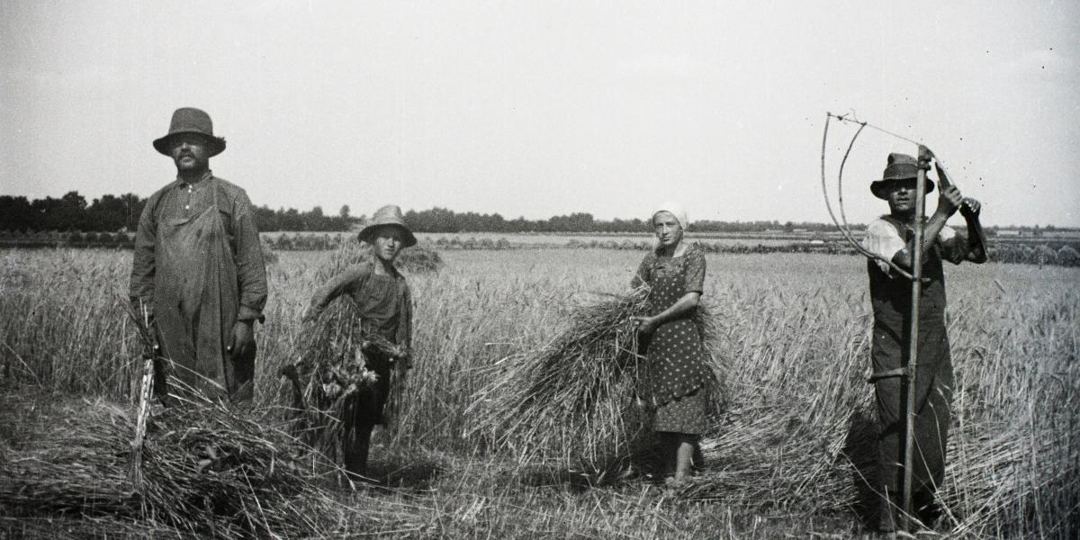 Aratás (1941)