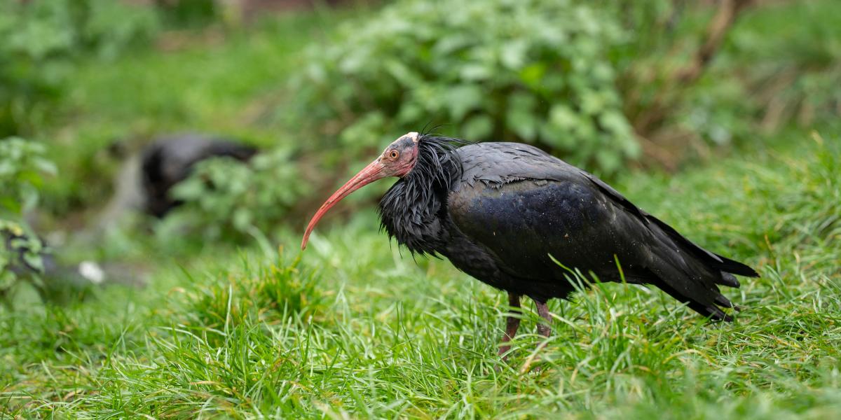 Képünk illusztráció