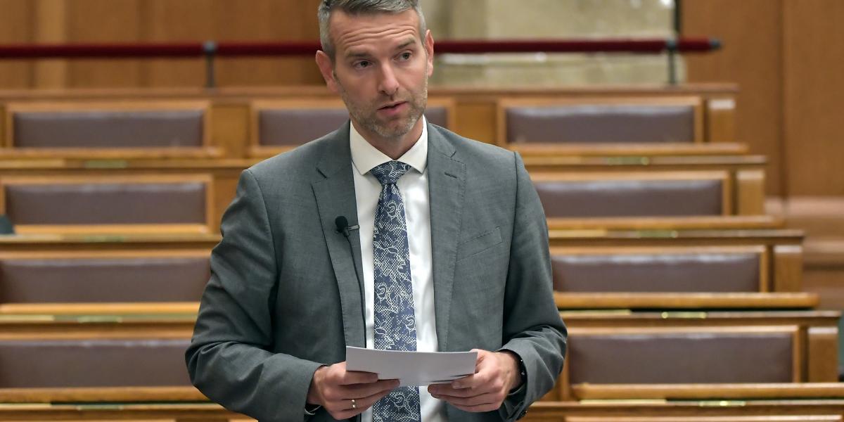 Steiner Attila - Korábbi felvétel 