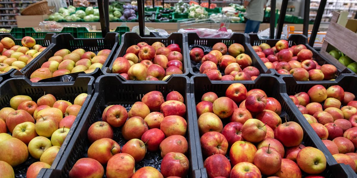 A magyar almák minősítése kiugróan rossz a nemzetközi felmérésben