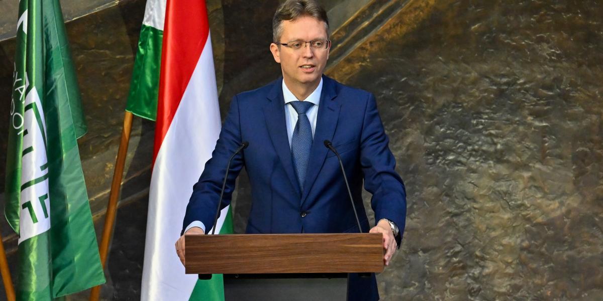 Hankó Balázs - Korábbi felvétel 