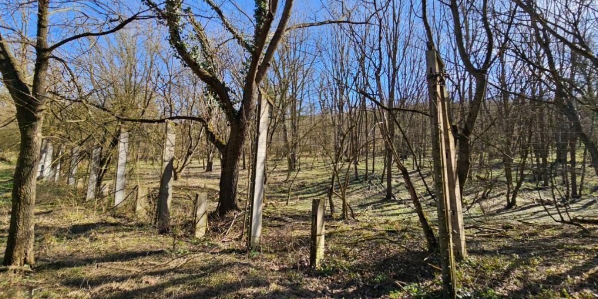 Az egyik érintett földterület 