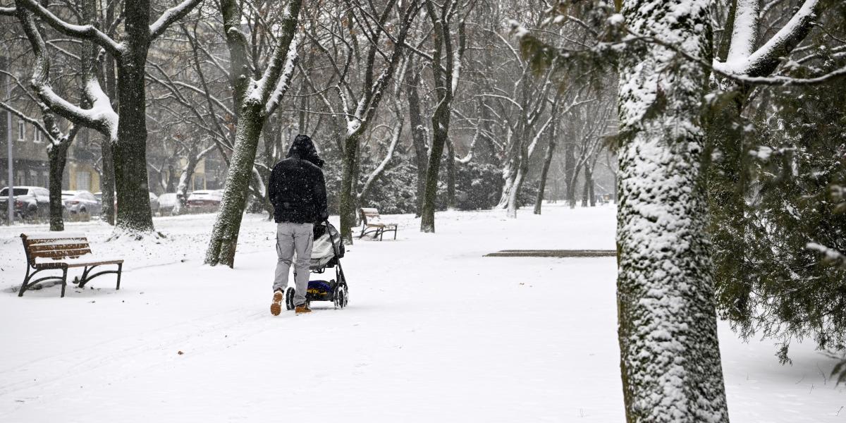 Babakocsit tol egy férfi a behavazott Vérmezőn 2026. február 3-án