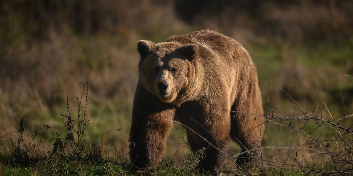 Képünk illusztráció