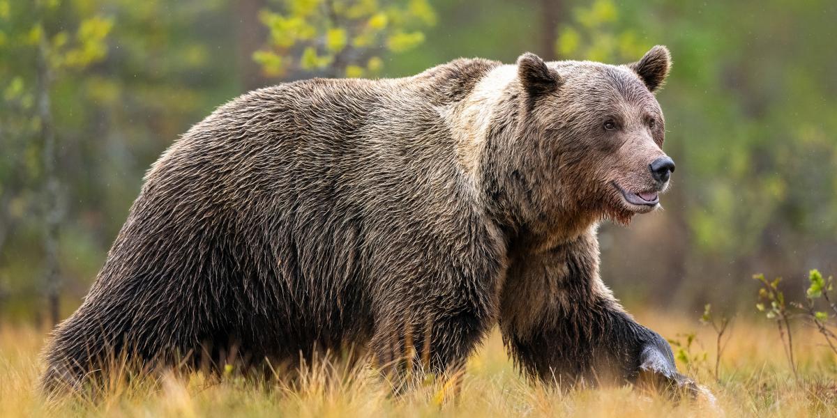 Képünk illusztráció 