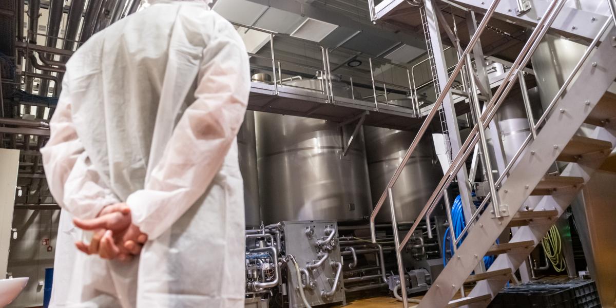 Az MI egyre inkább kiváltja azokat a feladatokat, amelyek lehetőséget adtak a fiataloknak a gyakorlásra, az időseknek a tapasztalat átadására