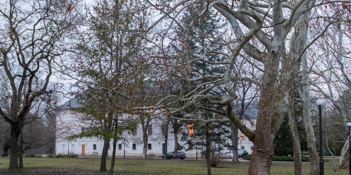 A bicskei gyermekotthon - Korábbi felvétel 