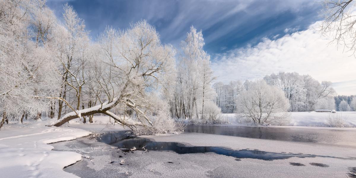 Nagy ajándék ez
a tél nekünk, óriási
a kontraszt a
tiszta, fehér hó
és a világ mocska
között, amit
végső soron mi,
emberek hozunk
létre magunk
körül