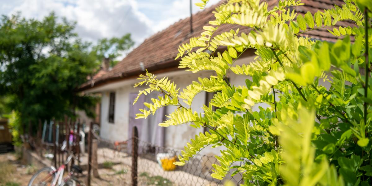 Életkép Mezőkeresztesen. Az első település volt, ahol elfogadták a rendeletet.