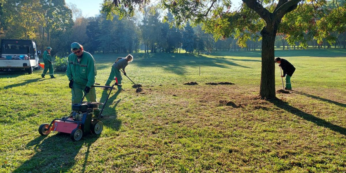 Dolgoznak. A BKM 2022-ben 1,4 milliárd forintért rendelt kaszálást nagyjából 20,8 millió négyzetméteren. Előfordult, hogy téves területi adatok alapján rendeltek munkát