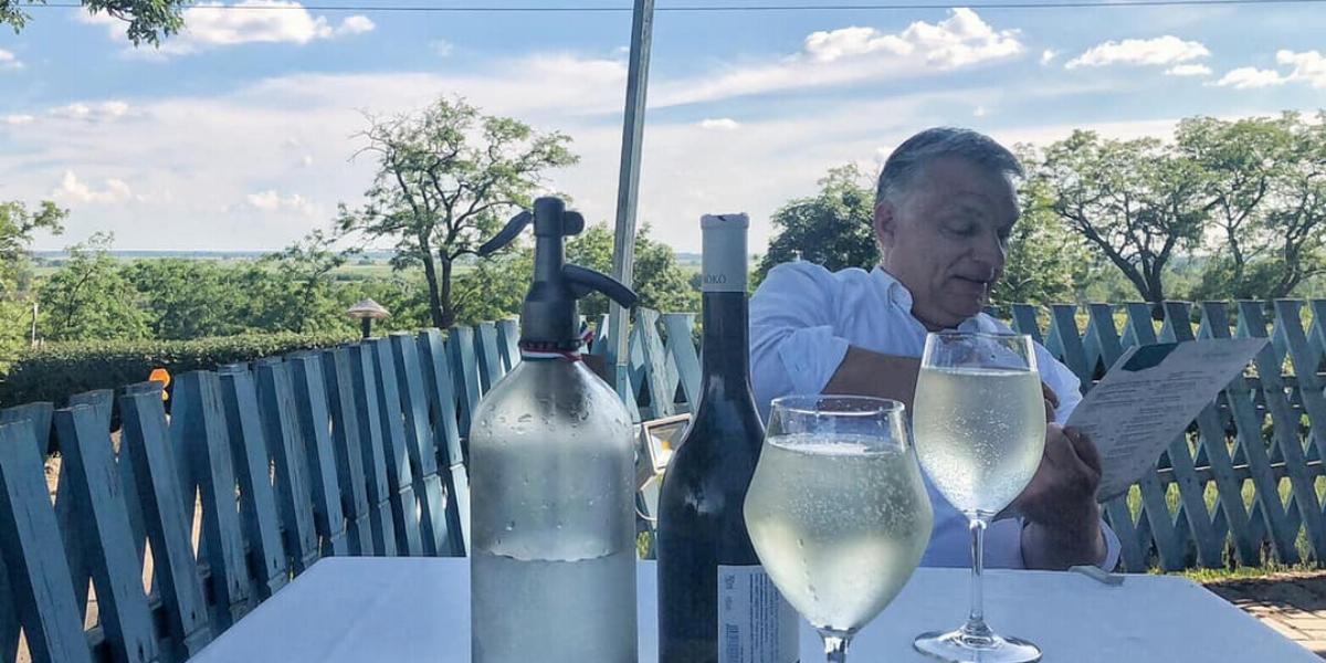  Mr LDL Koleszterin elvtárs fröccsözés közben – nem kellett volna még egyet inni vele