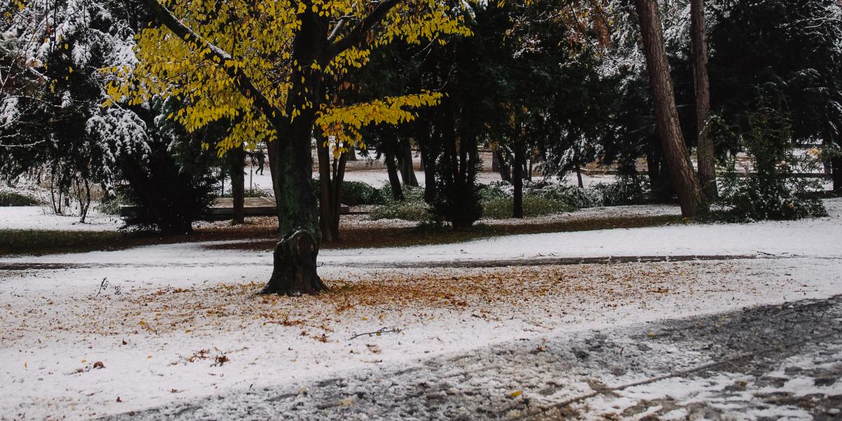 Képünk illusztráció 