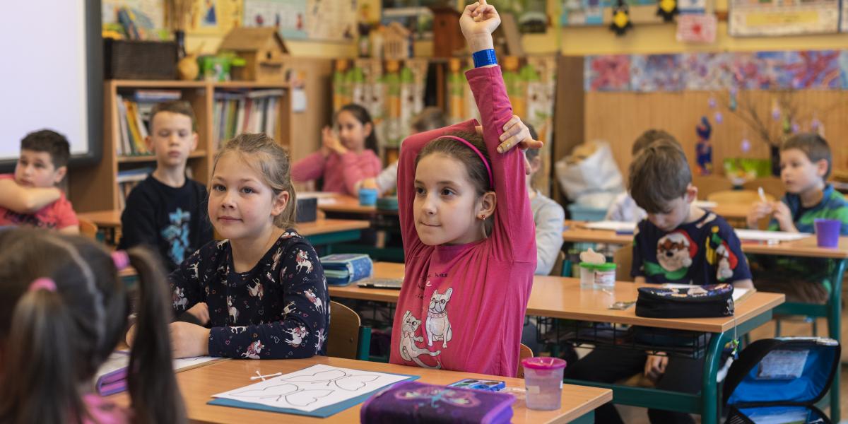 A kérelmek mintegy 95 százalékát végül elfogadták