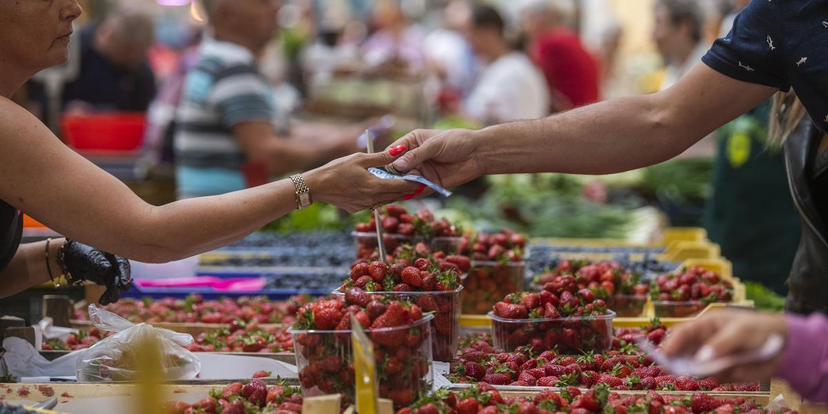 Ha csökkenne az áfa, olcsóbbak lennének az árak és fehéredne az ágazat