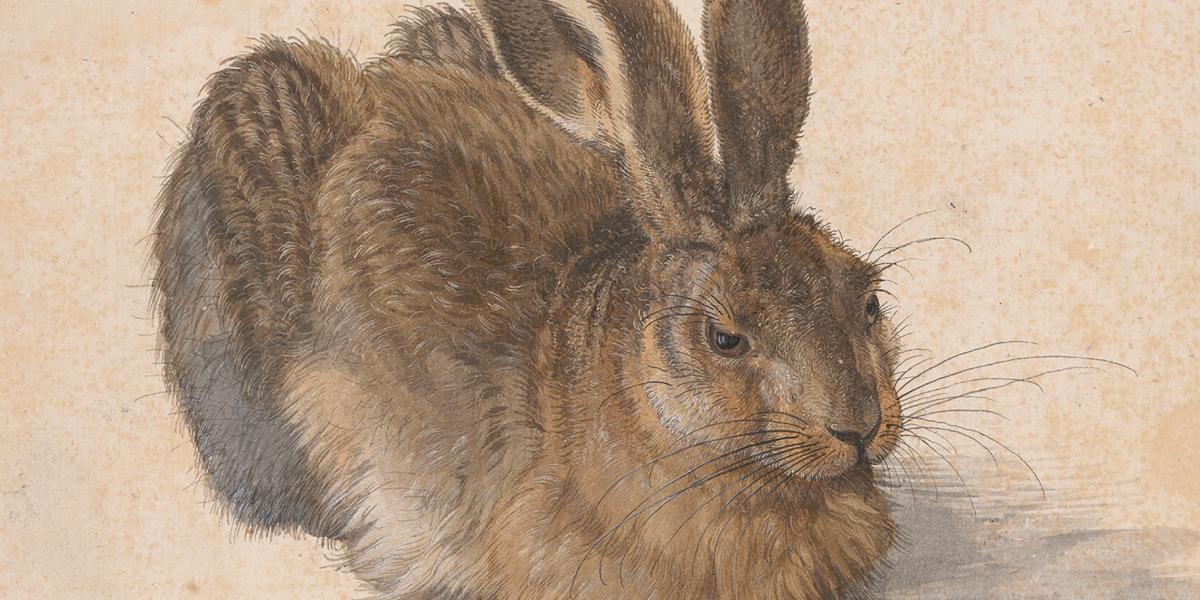 Albrecht Dürer 1502-es Mezei nyúl című alkotása a múzeum egyik legfontosabb műve