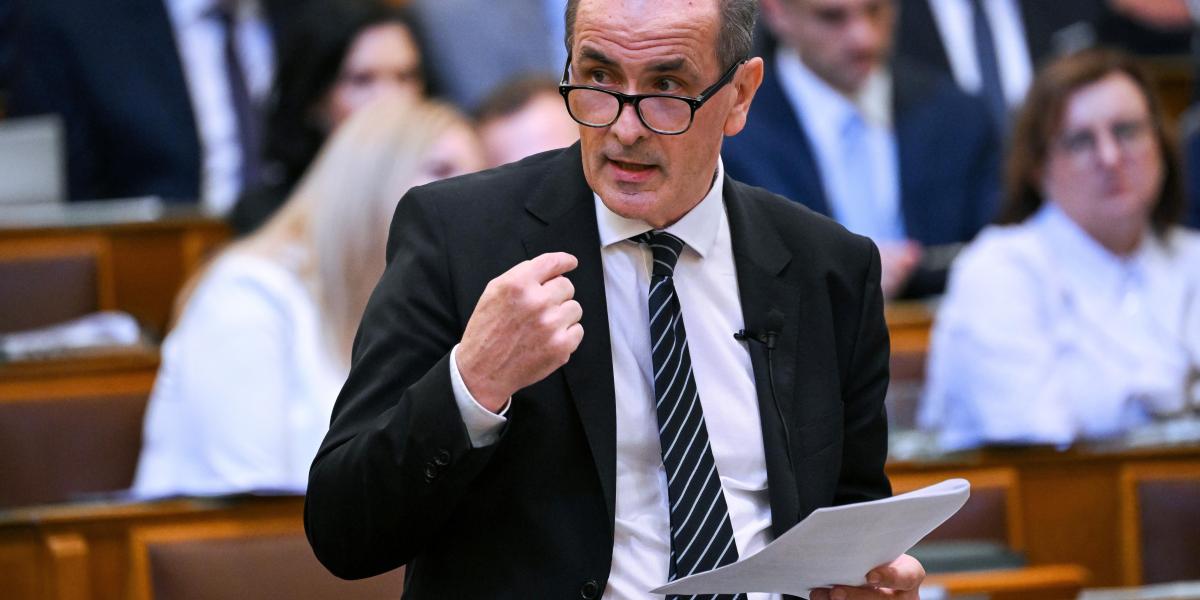 Hegedűs Zsolt egészségügyi miniszter